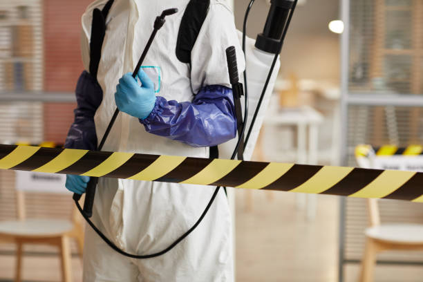 Professional Odor Removal technician working in Bloomington, CA