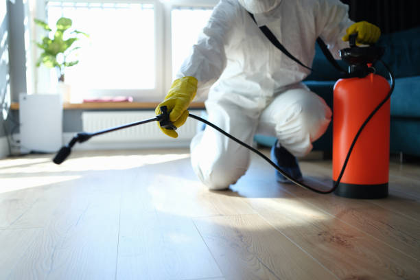 Reliable Odor Removal contractor in Bloomington, CA by Trauma Clean Pros